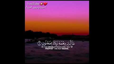 ثواني لراحة قلبك بصوت سالم الرويلي 🎧😴 حالات واتس اب دينية-💗 تلاوة خاشعة قران كريم