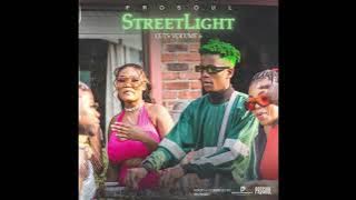 Streetlight Cuts Vol 06 Mixed & Compiled by ProSoul