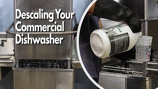 How to Delime and Descale Commercial Dishwasher Machine- Active Element-  Maintenance Series 