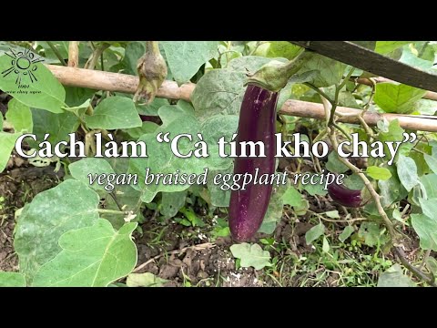Video Cách làm 