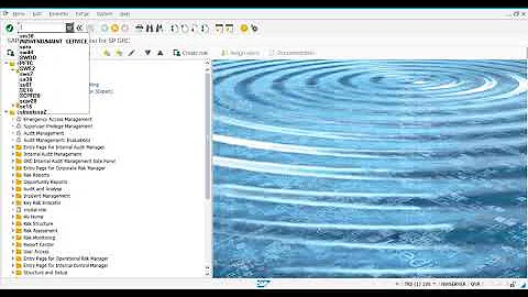 12 - POST INSTALLATION CONFIGURATION - ACTIVATING SAP GATEWAY AND ODATA SERVICE FOR REMEDIATION VIEW