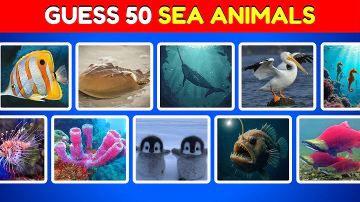 Guess 50 Sea Animals in 5 Seconds 🐬🦑 | Easy, Medium, Hard, Impossible