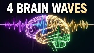 Your Brain Produces 4 Types of Waves - Here's What Each Does #Shorts