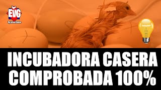 Como Hacer Una Incubadora Casera - COMPROBADA 100% | Paso a Paso