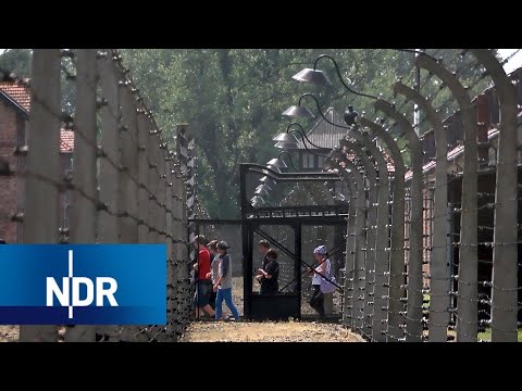 Die letzten Zeugen: Rückkehr nach Auschwitz | DW Reporter
