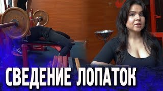 видео: Техника просто: сведение лопаток в жиме лежа (пауэрлифтинг) картинка: Техника просто: сведение лопаток в жиме лежа (пауэрлифтинг)