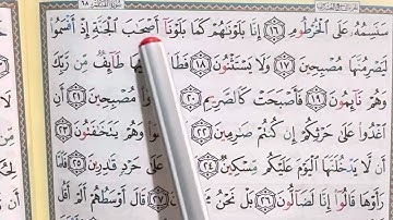 حفظ سورة القلم من الآية 16-31