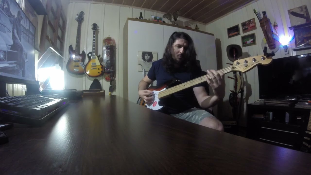 Riders on the Storm - The Doors - Bass Cover