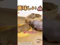 ペットたらしのカピパラ❤️💩❤️ #shortvideo #元気になる動画 #うんち