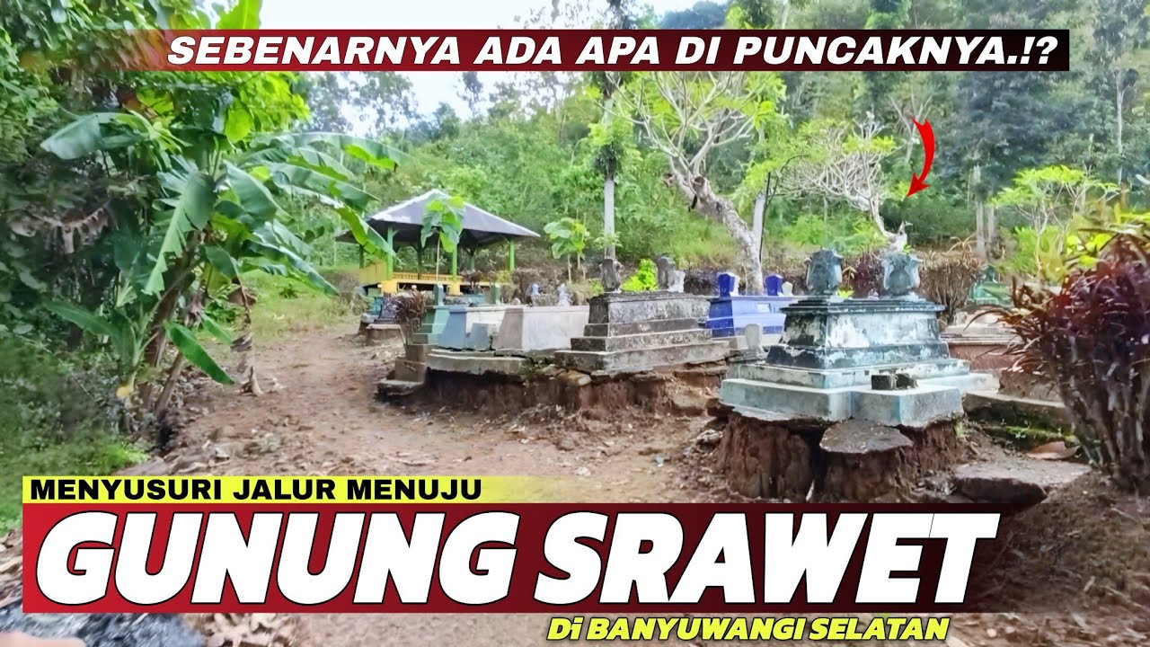 Sebenarnya Ada Apa di Puncak Gunung Srawet Banyuwangi⁉️Menyusuri Indahnya Jalur Menuju Gunung Srawet