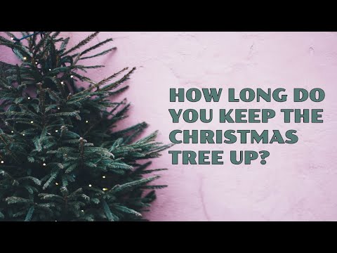 how-long-do-you-keep-the-christmas-tree-up?