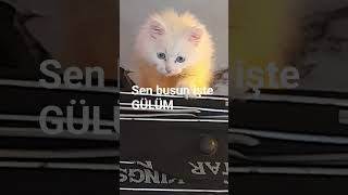 14 Eylül 2025