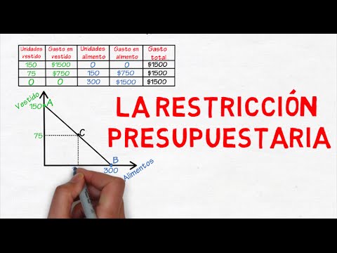 Video: Grúas flotantes: breve información