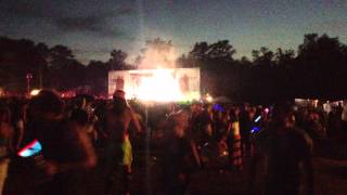 FireFly 2013 Zedd
