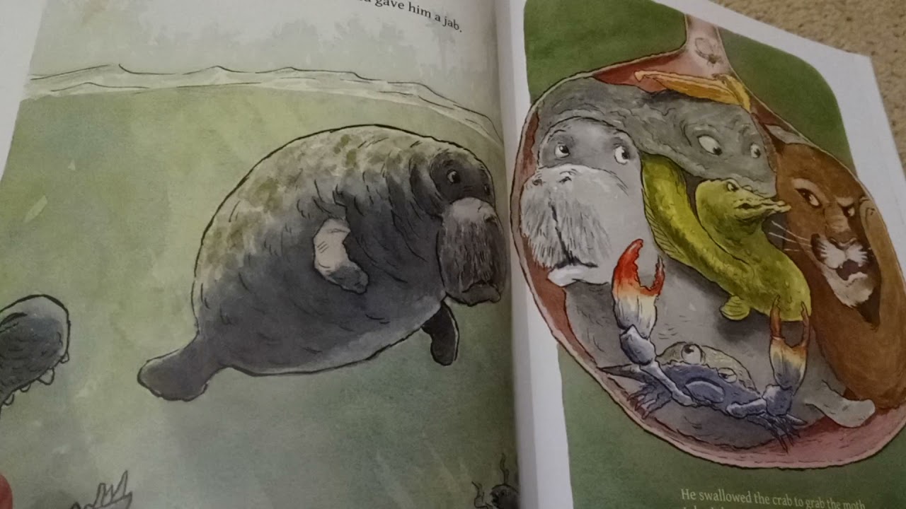 There was an old gator who swallowed a moth