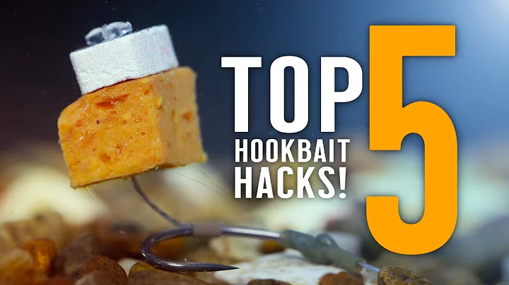 TOP 5 HOOKBAIT HACKS For Carp Fishing! (Including Simple Pop-Up Rig) Mainline Baits Carp Fishing TV - DayDayNews