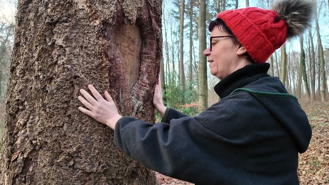 21. Dezember 2025 - Der achtsame Advent