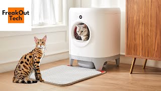 Top 5 Best Self Cleaning Litter Box