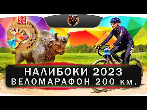 Видео: Веломарафон Налибоки 2023. Дистанция 200 км.