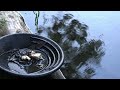 Beginning of video