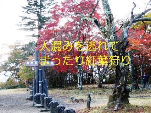 軽井沢の紅葉　人混みを逃れて　　　Autumn leaves of Karuizawa 　To avoid the crowds