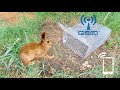 ловушка на дичь живьём - с gsm звонком -animal trap