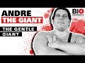 Andre the Giant: The Gentle Giant