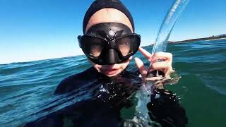 Free-diving Vlog | Cook Island New South Wales Australia 🇦🇺