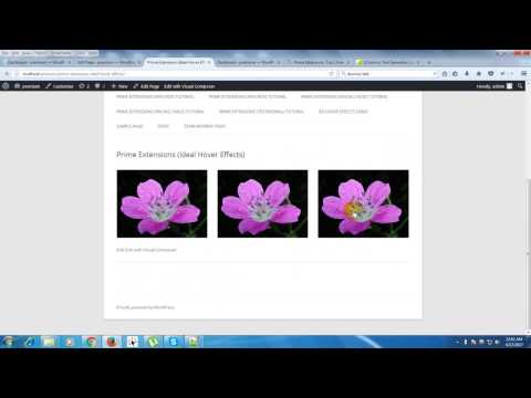 Prime Extensions For Visual Composer ( Ideal Hover Effects) Video Tutorial