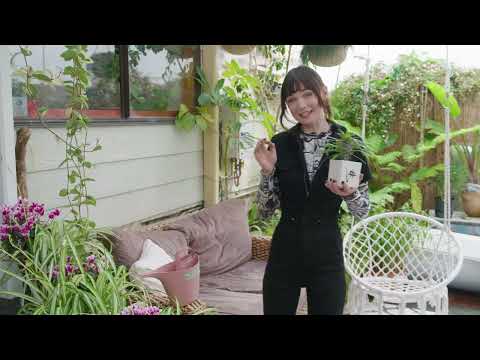 Electric vs Gas Garden Tools 2026: Which Wins?