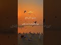 Surah Al Tooba ЁЯШМ Islam Quran Recitation Tilawat Islamicshorts Trending Surah Al Tooba ЁЯШМ Islam Quran Recitation Tilawat Islamicshorts Trending