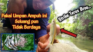 MANCING IKAN SELUANG || SI KECIL NAN GURIH || PAKAI UMPAN INI NARIK TERUS BROO