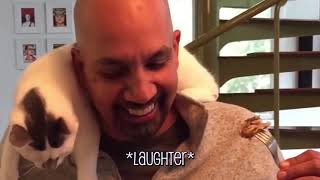 101 SUPER Weird Cats   AFV Funniest Cat Videos 2020