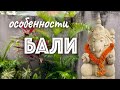 Oсобенности Бали. 2022