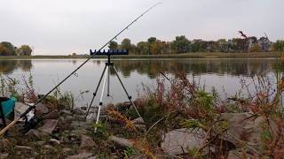 картинка: В пошуках БАТОНІВ. Осінній фідер на Дніпрі...#FishTrip #34