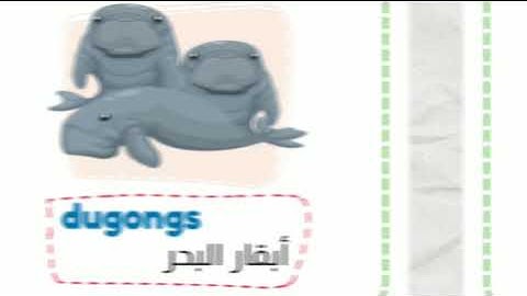 Connect plus 5 | unit 1 lesson 4