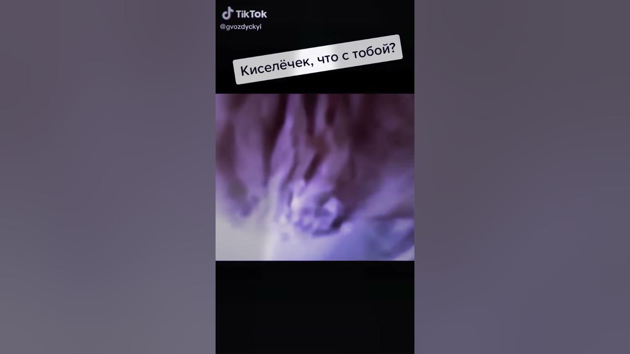 Что стало с киселечком котом из мема Lira Moon 2024 ВКонтакте