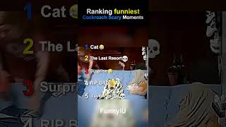 Ranking funniest cockroach scary moments #funny #funnyshorts