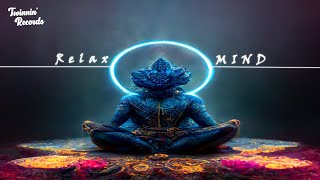 🎵 Serenity Sounds: Relaxing Meditation Music for Inner Peace and Calm 🌿🧘‍♀️💆‍♂️|Twinnin' Records