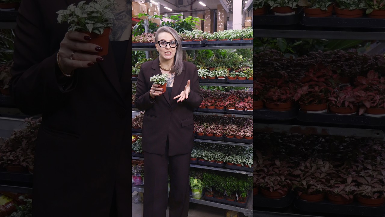 Получили новую поставку растений!