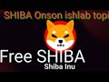 Shiba tekinga ishlash. onternatda sarmoyasiz ishlash.