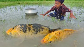 Amazing Hand Fishing Video 2023 | Smart Little Boy Catching Fish With Hand In New Water