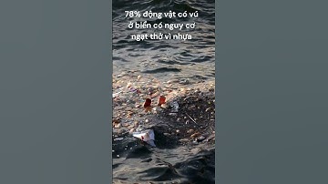 78% động vật có vú ở biển có nguy cơ ngạt thở vì nhựa. #shorts