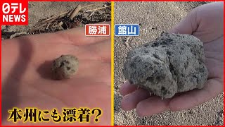 【迫る】大量の軽石が三宅島へ…海の生き物に影響は