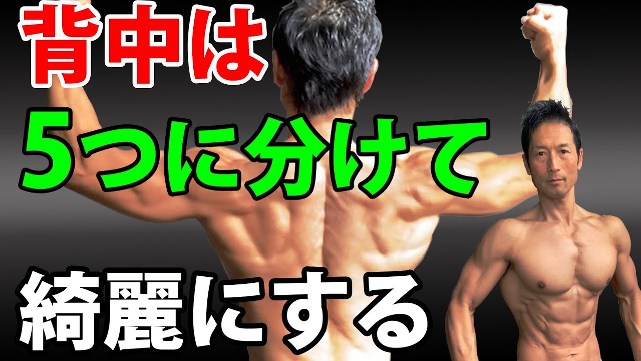 背中5つの部分に分けて かっこよく 綺麗にする 背中は広背筋だけじゃない ラットプルダウンと懸垂の使い分け Youtube