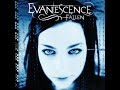 Evanescence  fallen full album