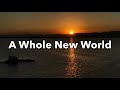 ZAYN, Zhavia Ward - A Whole New World s End TitleFrom “Aladdin” ZAYN, Zhavia Ward - A Whole New World s End TitleFrom “Aladdin”