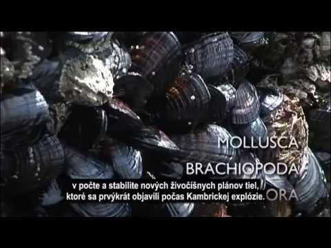 Video: Geologické Obdobia V Chronologickom Poradí