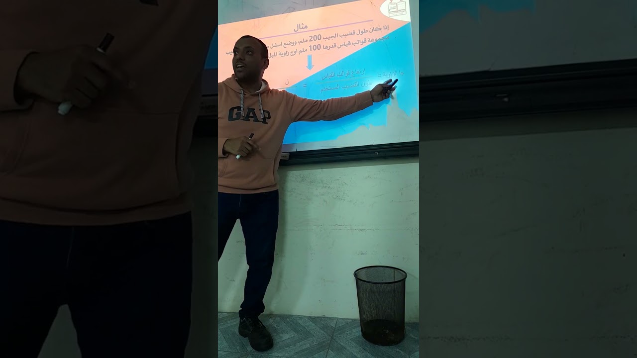 قضيب الجيب
