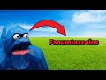 Every promo code in animal company !￼